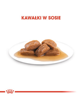 Royal Canin Maxi Adult karma mokra w sosie dla psów dorosłych, do 5 roku życia, ras dużych saszetka 140g