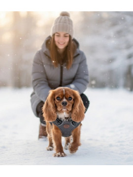 Zolux Kurtka puchowa z szelkami dla psa R.35 szara