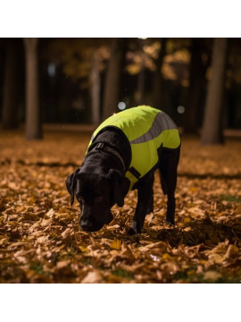 Zolux Kamizelka odblaskowa R.60 żółta
