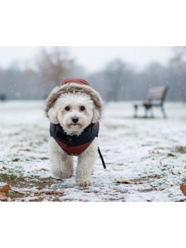 Zolux Kurtka puchowa dla psa New Mountain R.35 ceglasta