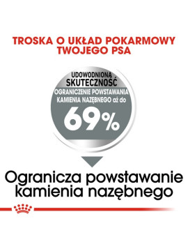 Royal Canin Mini Dental Care karma sucha dla psów dorosłych, ras małych, redukująca powstawanie kamienia nazębnego 1kg