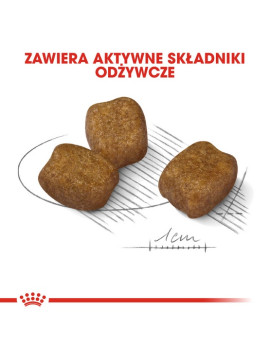 Royal Canin Mini Dental Care karma sucha dla psów dorosłych, ras małych, redukująca powstawanie kamienia nazębnego 1kg