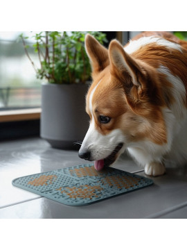 Collar WauDog Silicone Mata do lizania 19x19x1cm szara