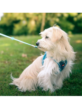 Zolux Szelki oddychające z siatki M granatowe