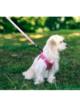 Zolux Szelki oddychające z siatki M zielone