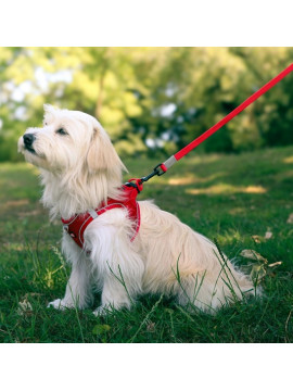 Zolux Szelki oddychające z siatki XS czerwone