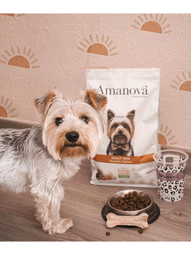 Amanova Dog Adult Mini Exquisite Chicken - kurczak 2kg