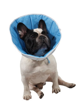 Grande Finale Kołnierz pozabiegowy z tkaniny rozmiar 6 niebieski [WET/KT/6(XXXL)]