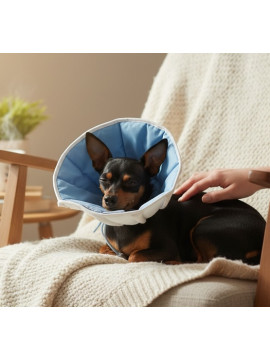 Grande Finale Kołnierz pozabiegowy z tkaniny rozmiar 5 niebieski [WET/KT/5(XXL)]