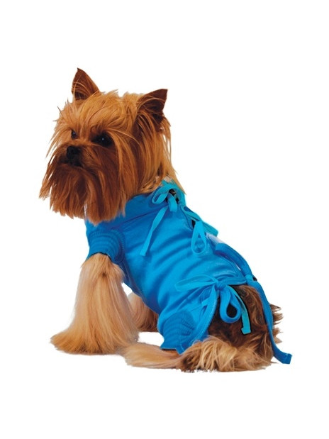 Grande Finale Koszulka pooperacyjna rozmiar 7 / 70cm niebieska [WET1]