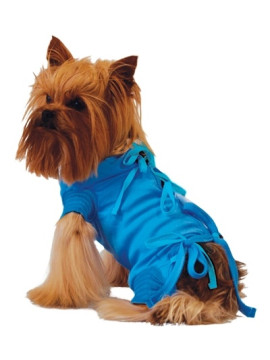 Grande Finale Koszulka pooperacyjna rozmiar 5 / 51cm niebieska [WET1]