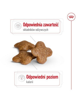 Royal Canin Mini Adult 8+ karma sucha dla psów starszych od 8 do 12 roku życia, ras małych 800g