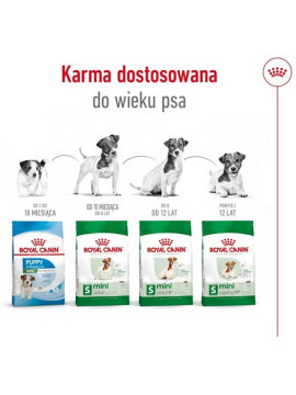 Royal Canin Mini Adult 8+ karma sucha dla psów starszych od 8 do 12 roku życia, ras małych 800g