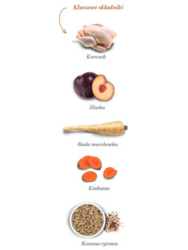 Amanova Dog Adult Medium Exquisite Chicken - kurczak 2kg