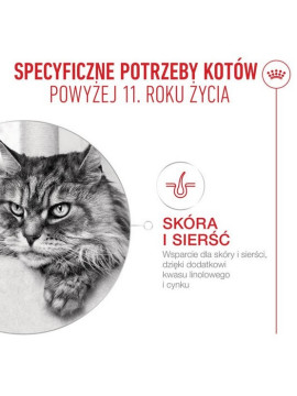 Royal Canin Ageing +11 karma mokra dla kotów dojrzałych w sosie saszetka 85g