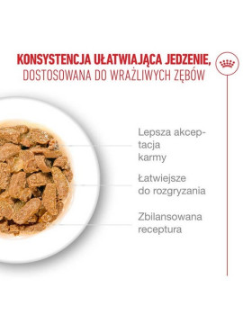 Royal Canin Ageing +11 karma mokra dla kotów dojrzałych w sosie saszetka 85g