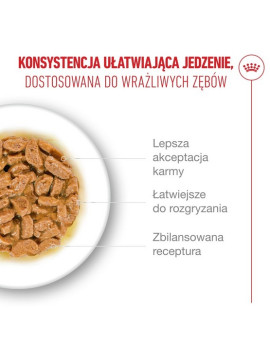 Royal Canin Ageing +15 karma mokra dla kotów dojrzałych w sosie saszetka 85g