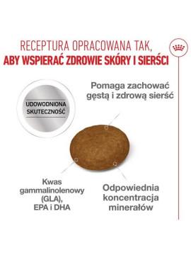 Royal Canin Hair&Skin Care karma sucha dla kotów dorosłych, lśniąca sierść i zdrowa skóra 4kg