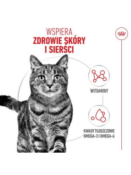 Royal Canin Hair&Skin Care karma sucha dla kotów dorosłych, lśniąca sierść i zdrowa skóra 4kg