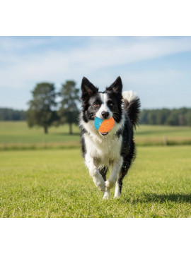 Zolux Zabawka gryzak piłka Tao 8cm