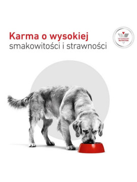 Royal Canin Veterinary Diet Canine Glycobalance Low Carbohydrate Loaf puszka 410g