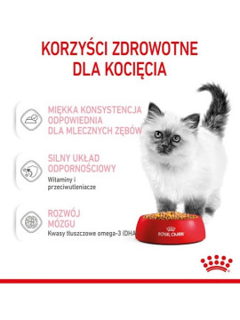 Royal Canin Kitten w galaretce karma mokra dla kociąt do 12 miesiąca życia saszetka 85g