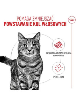 Royal Canin Hairball Care karma sucha dla kotów dorosłych, eliminacja kul włosowych 2kg