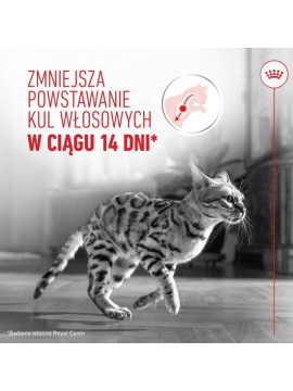 Royal Canin Hairball Care karma sucha dla kotów dorosłych, eliminacja kul włosowych 2kg