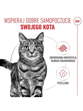 Royal Canin Hairball Care w sosie karma mokra w sosie dla kotów dorosłych, eliminacja kul włosowych saszetka 85g