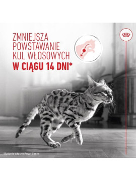 Royal Canin Hairball Care w sosie karma mokra w sosie dla kotów dorosłych, eliminacja kul włosowych saszetka 85g