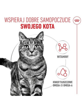 Royal Canin Hair & Skin Care w sosie  karma mokra dla kotów dorosłych, zdrowa skóra, piękna sierść saszetka 85g