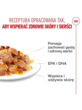 Royal Canin Hair & Skin Care karma mokra w galaretce dla kotów dorosłych, lśniąca sierść i zdrowa skóra saszetka 85g