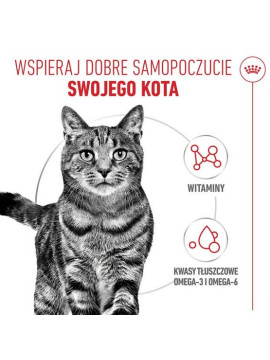 Royal Canin Hair & Skin Care karma mokra w galaretce dla kotów dorosłych, lśniąca sierść i zdrowa skóra saszetka 85g