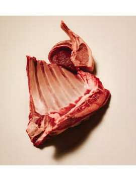 Carnilove Cat Active Lamb & Wild Boar Sterilised - jagnięcina i dzik 2kg
