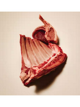 Carnilove Dog Active Lamb & Wild Boar Adult - jagnięcina i dzik 1,5kg