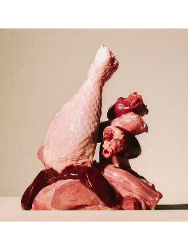 Carnilove Dog Turkey & Duck - indyk i kaczka saszetka 300g