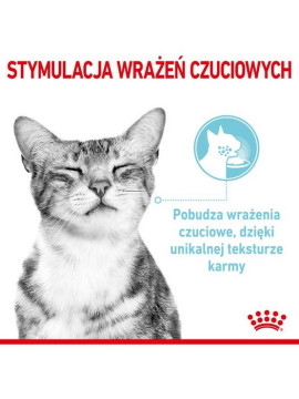 Royal Canin Sensory Feel w sosie karma mokra dla kotów dorosłych saszetka 85g
