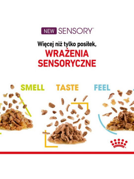 Royal Canin Sensory Feel w sosie karma mokra dla kotów dorosłych saszetka 85g