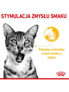 Royal Canin Sensory Taste w sosie karma mokra dla kotów dorosłych saszetka 85g