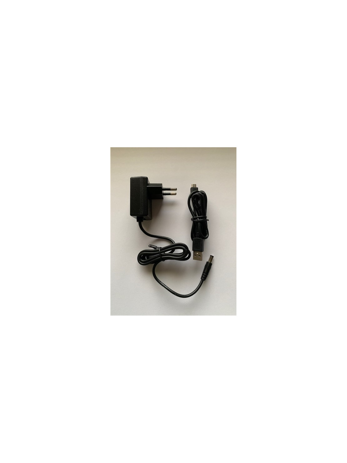 E-COLLAR Ładowarka EU dla serii EZ/PE 900