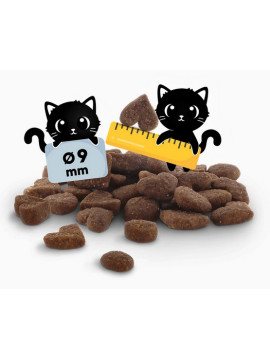 Lucky Lou Food Code Lifestage Kitten Drób & Kurczak 340g