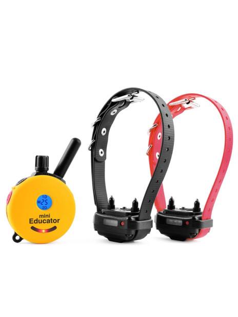 E-COLLAR OBROŻA ELEKTRYCZNA na 2 psy ET-302 MINI EDUCATOR®