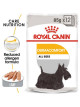 Royal Canin Dermacomfort Loaf  karma mokra – pasztet, dla psów dorosłych wszystkich ras saszetka 85g