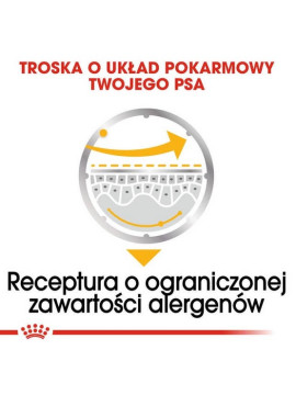 Royal Canin Dermacomfort Loaf  karma mokra – pasztet, dla psów dorosłych wszystkich ras saszetka 85g