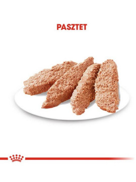 Royal Canin Dermacomfort Loaf  karma mokra – pasztet, dla psów dorosłych wszystkich ras saszetka 85g