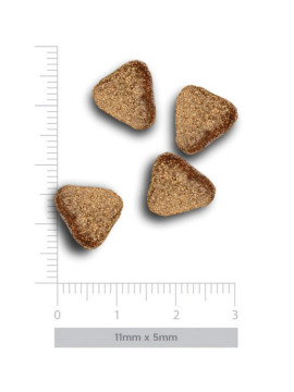Amanova Dog Adult Mini Digestive Divine Rabbit - królik 800g [termin ważności: 29.11.2026]