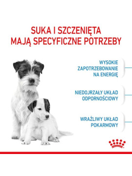 Royal Canin Mini Starter Mother&Babydog karma sucha dla szczeniąt do 2 miesiąca i suk karmiących ras małych 1kg