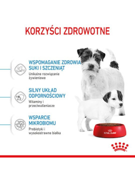 Royal Canin Mini Starter Mother&Babydog karma sucha dla szczeniąt do 2 miesiąca i suk karmiących ras małych 1kg