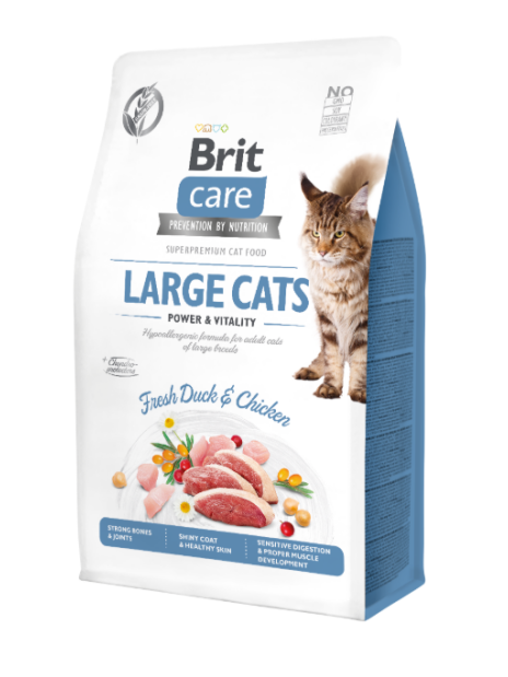 Brit Care Cat Grain-Free Large Cats Power & Vitality 400g – Bezzbożowa sucha karma ze świeżą kaczką i indykiem