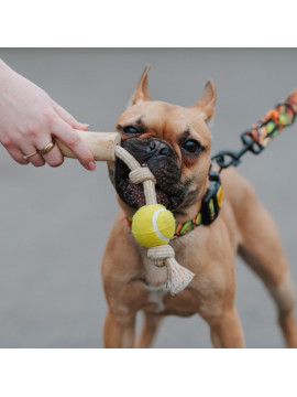 Dingo Psia-Kawka Gryzak z drewna kawowego sznur z piłką tenisową 33cm